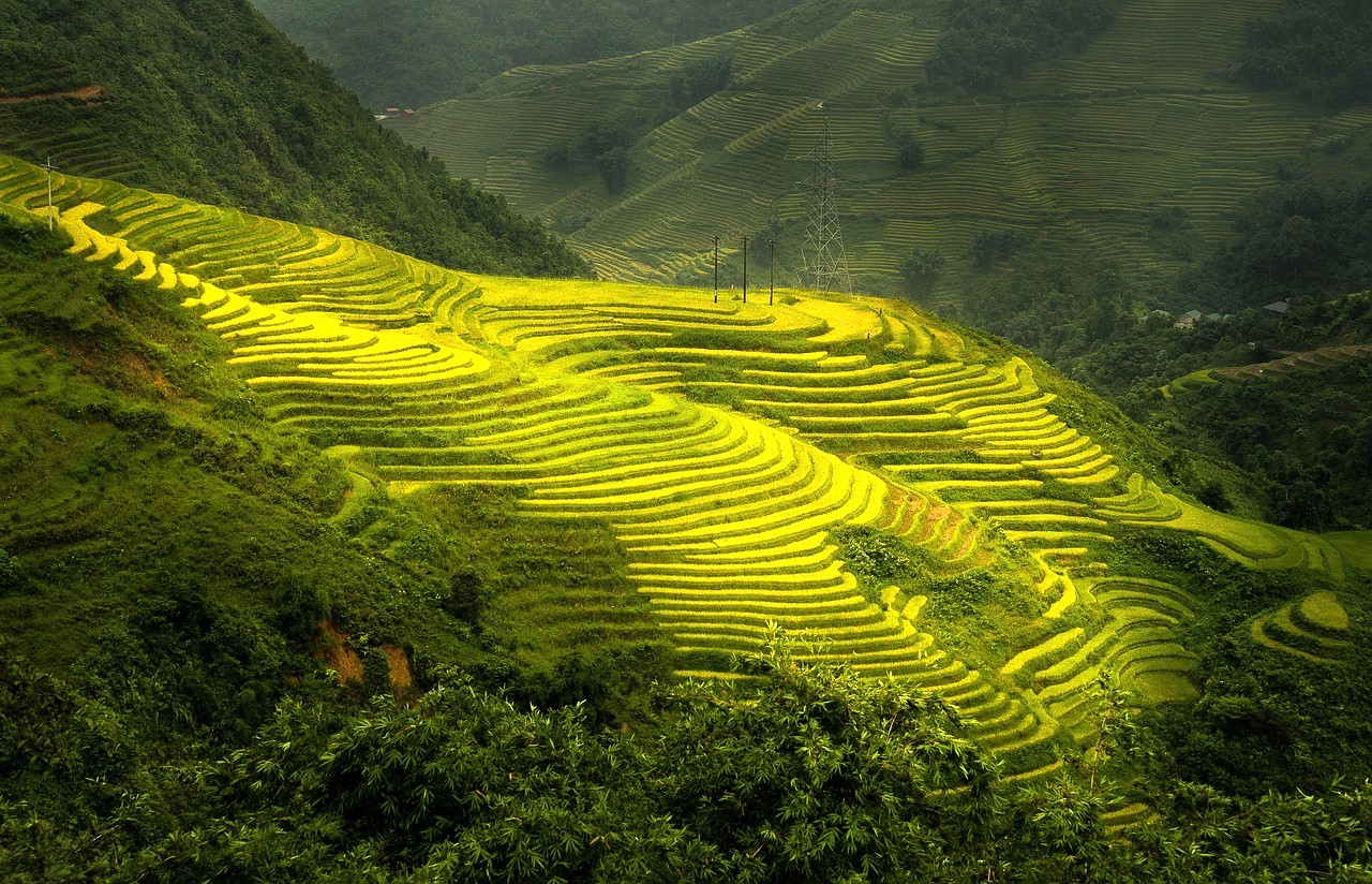 Vietnam Sapa